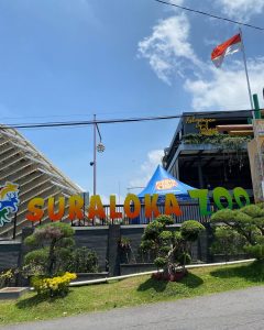 suralokazoo - wisata jogja 2025